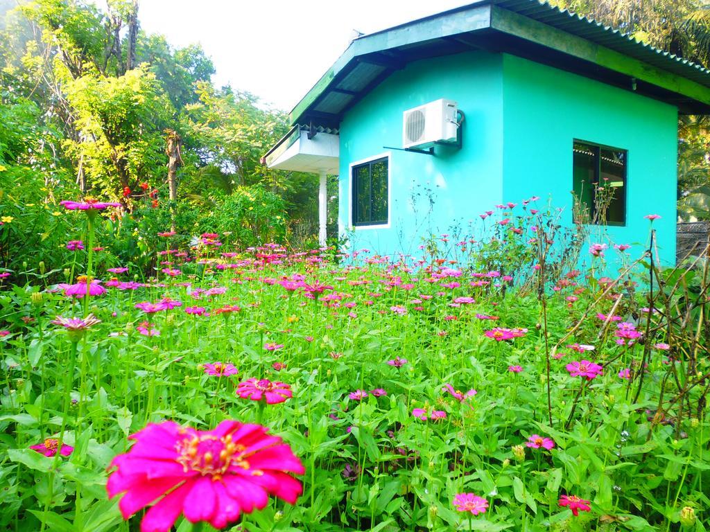 The Nilmini Lodge Sigiriya Habitación foto